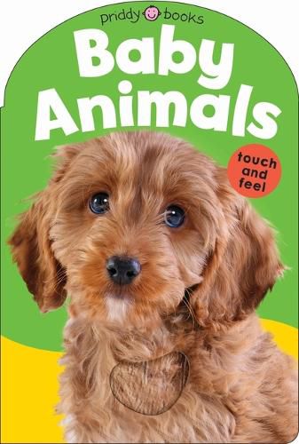 Cover image for Baby Touch & Feel: Baby Animals
