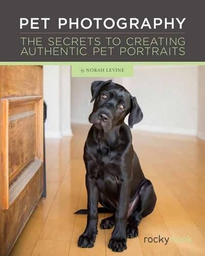 Cover image for Pet Photography: The Secrets to Creating Authentic Pet Portraits