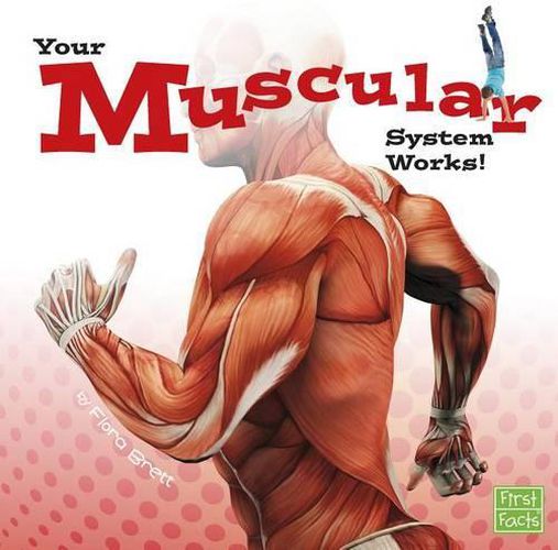 Cover image for Muscular