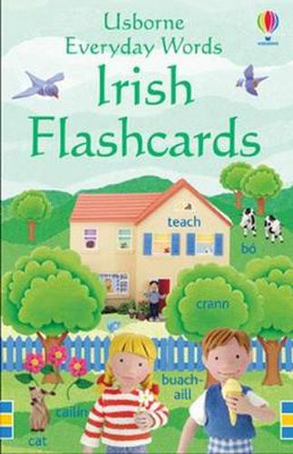 Everyday Words: Irish Flashcards