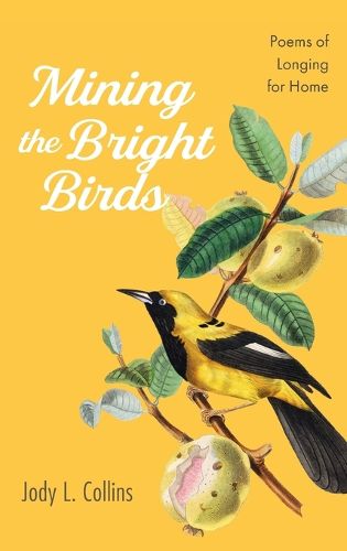 Cover image for Mining the Bright Birds