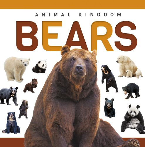 Cover image for Bears
