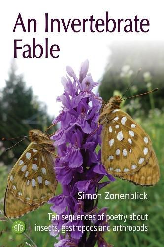 Cover image for An Invertebrate Fable: Ten sequences of poetry about insects, gastropods and arthropods