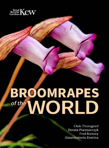 Cover image for Broomrapes of the World