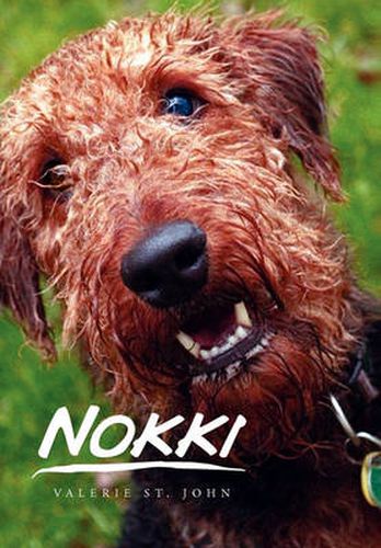 Cover image for Nokki