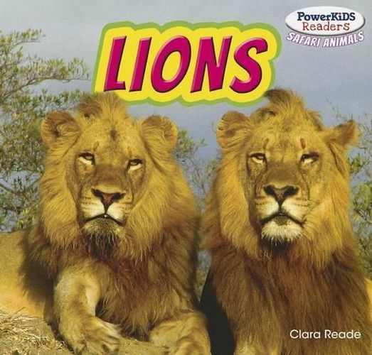 Cover image for Lions