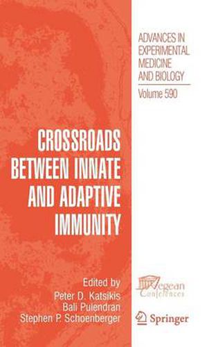 Cover image for Crossroads between Innate and Adaptive Immunity