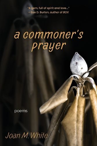 Cover image for A commoner's prayer