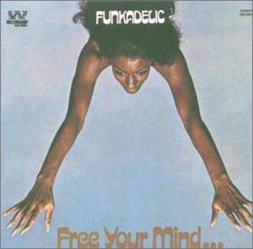 Cover image for Free Your Mind And Your Ass Will Follow *** Vinyl