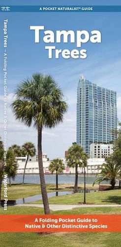 Cover image for Tampa Trees