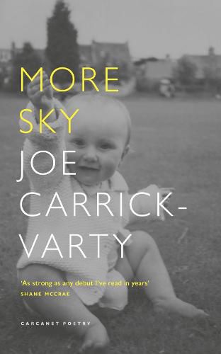 Cover image for More Sky