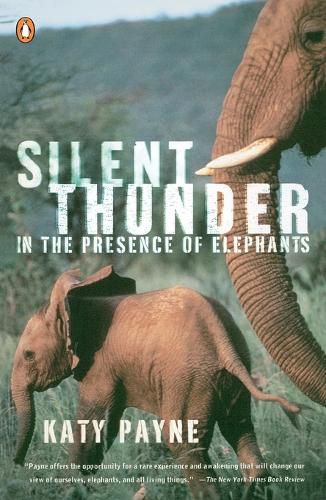 Cover image for Silent Thunder: In the Presence of Elephants