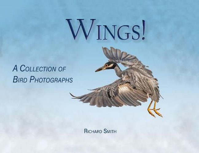 Cover image for Wings!