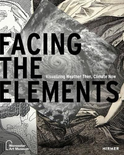 Cover image for Facing the Elements