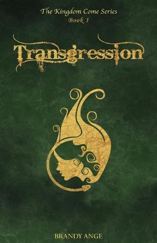 Cover image for Transgression