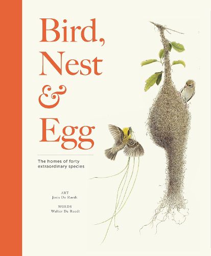 Cover image for Bird, Nest & Egg