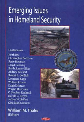 Cover image for Emerging Issues in Homeland Security