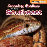 Cover image for Amazing Snakes of the Southeast