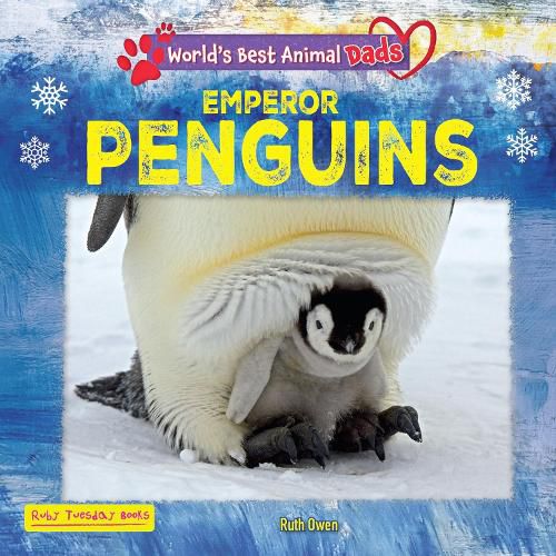 Cover image for Emperor Penguins