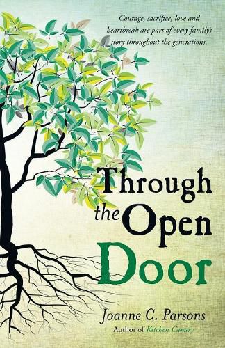 Cover image for Through the Open Door