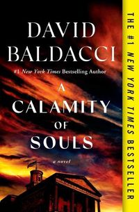 Cover image for A Calamity of Souls