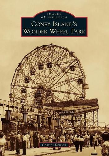 Cover image for Coney Island's Wonder Wheel Park