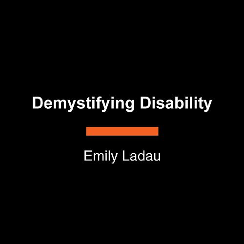 Cover image for Demystifying Disability