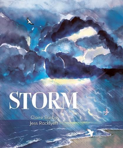 Cover image for Storm