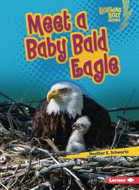 Cover image for Meet a Baby Bald Eagle