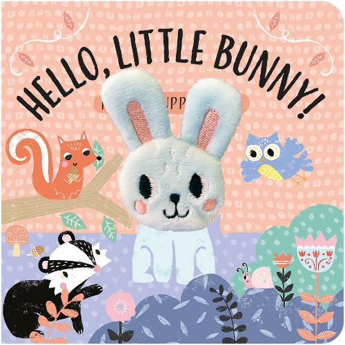 Cover image for Hello, Little Bunny!