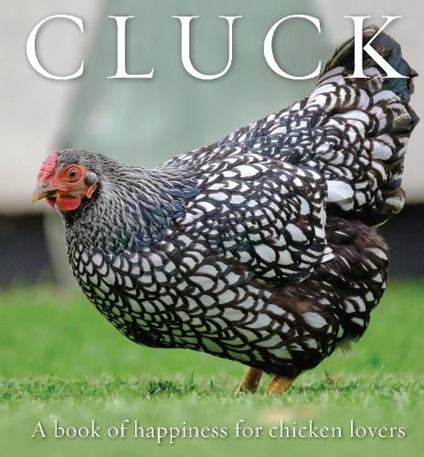 Cover image for Cluck: A Book of Happiness for Chicken Lovers