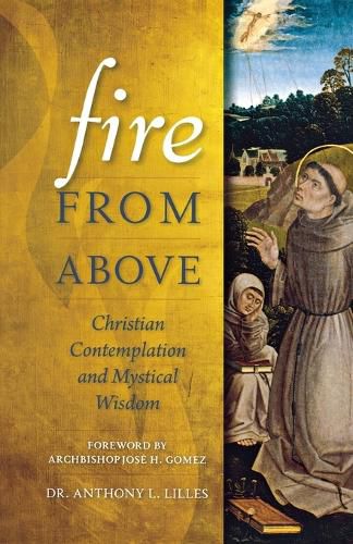 Cover image for Fire from Above