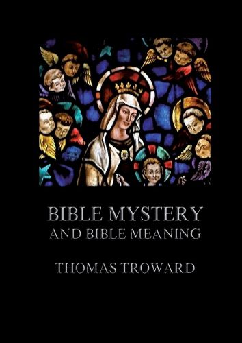 Cover image for Bible Mystery And Bible Meaning