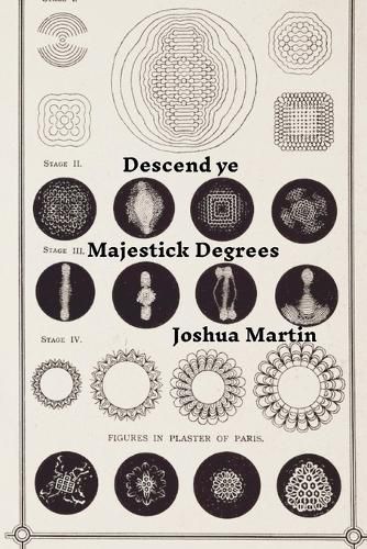 Cover image for Descend ye Majestick Degrees