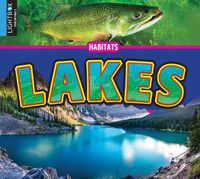 Cover image for Lakes