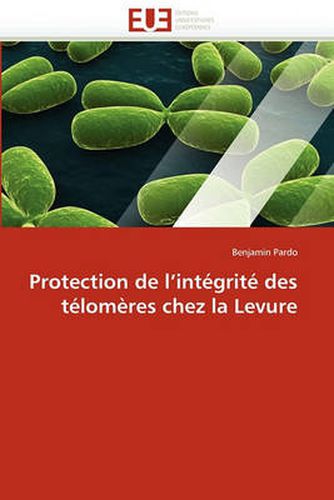 Cover image for Protection de L'Integrite Des Telomeres Chez La Levure