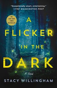 Cover image for A Flicker in the Dark