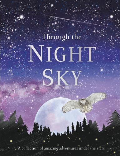 Cover image for Through the Night Sky: A collection of amazing adventures under the stars