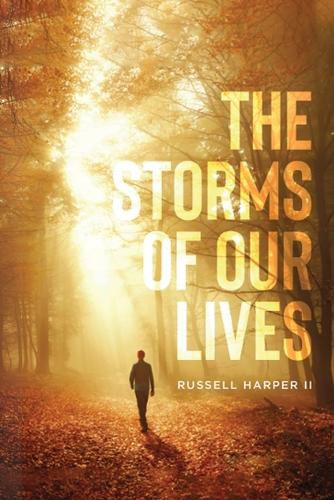 Cover image for The Storm of Our Lives