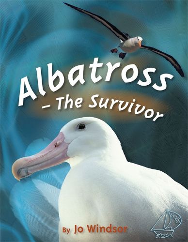Cover image for MainSails 1: Albatross - The Survivor