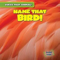 Cover image for Name That Bird!