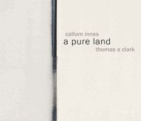 Cover image for Callum Innes - a pure land