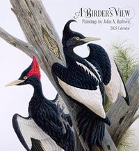 Cover image for 2025 A Birder's View Wall Calendar