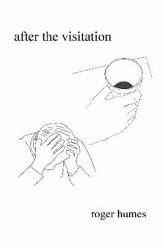 Cover image for After the Visitation