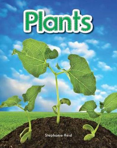 Cover image for Plants Lap Book