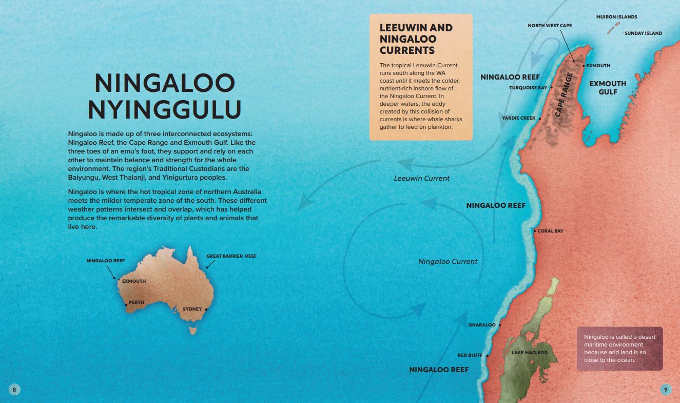 Ningaloo: Australia's Wild Wonder