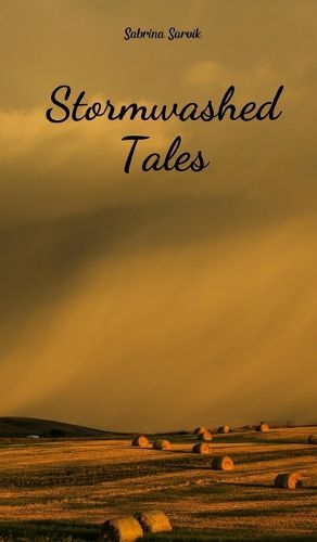 Cover image for Stormwashed Tales