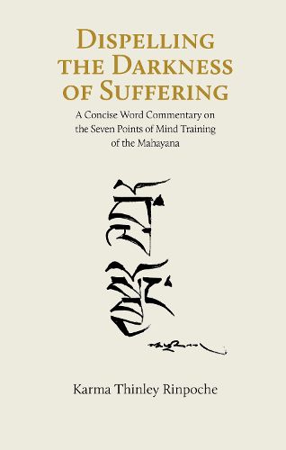 Cover image for Dispelling the Darkness of Suffering