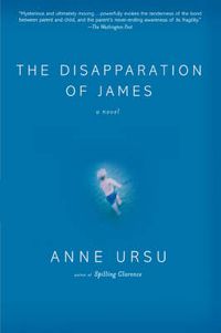 Cover image for The Disapparation of James