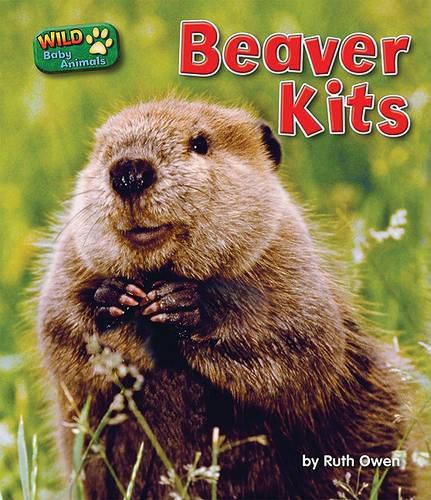 Cover image for Beaver Kits